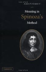 Meaning in Spinoza's Method