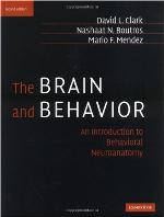 The Brain and Behavior
