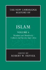 The New Cambridge History of Islam, Volume 6