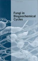 Fungi in Biogeochemical Cycles