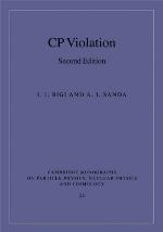 C.P. Violation