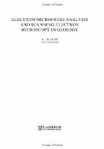 Electron Microprobe Analysis and Scanning Electron Microscopy in Geology