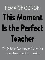 This Moment Is the Perfect Teacher