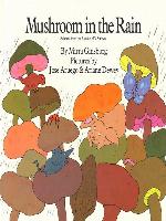 Mushroom in the Rain