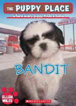 Bandit