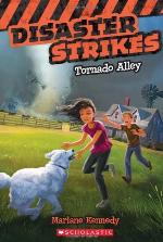 Disaster Strikes #2: Tornado Alley