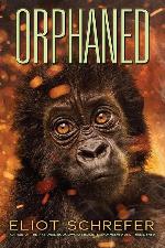 Orphaned (4) (Ape Quartet)