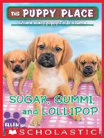 Sugar, Gummi and Lollipop