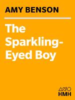 The Sparkling-Eyed Boy