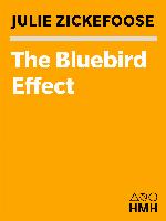 The Bluebird Effect