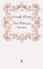 The Private Sector