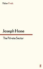 The Private Sector