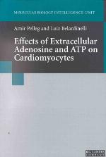 Effects of extracellular adenosine and ATP on cardiomyocytes