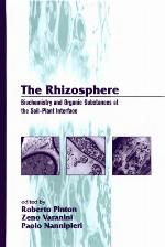 The rhizosphere : biochemistry and organic substances at the soil-plant interface