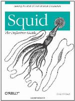 Squid: The Definitive Guide