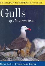 Peterson Reference Guides to Gulls of the Americas