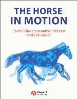 The Horse in Motion