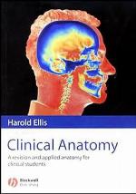 Clinical Anatomy
