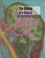 The Kidney at a Glance