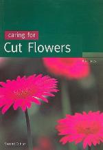 Caring for cut flowers