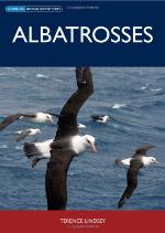 Albatrosses