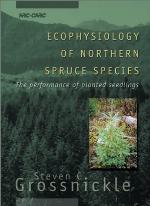 Ecophysiology of Northern Spruce Species