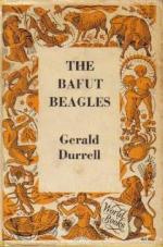 The Bafut Beagles
