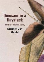 Dinosaur in a Haystack