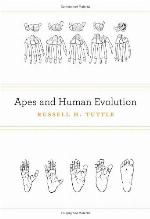 Apes and Human Evolution
