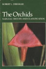 The Orchids