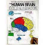 Neuroanatomy: An Atlas of Structures, Sections, and Systems