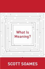 What Is Meaning?