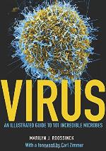 Virus