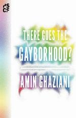 There Goes the Gayborhood? (Princeton Studies in Cultural Sociology)