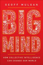 Big Mind