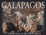 Gal&aacute;pagos: Life in Motion