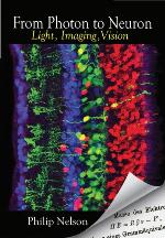 From Photon to Neuron