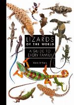 Lizards of the World