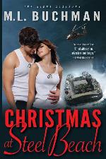 Christmas at Steel Beach (The Night Stalkers and the Navy) (Volume 1)