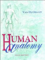 Human Anatomy