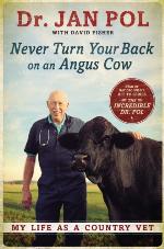 Never Turn Your Back on an Angus Cow