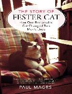 The Story of Fester Cat