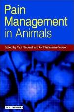 Pain Management in Animals