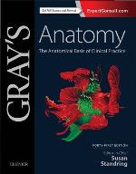Gray's Anatomy