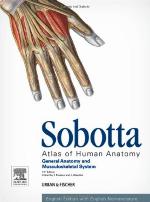 Sobotta Atlas of Human Anatomy, Vol.1, 15th Ed., English