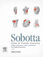 Sobotta Tables of Muscles, Joints and Nerves, English