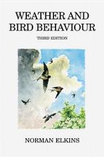 Weather And Bird Behaviour