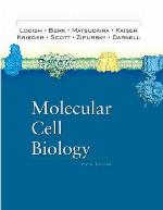 Molecular Cell Biology