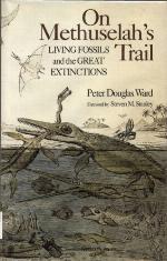 On Methuselah's Trail