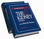 Brenner &amp; Rector's the Kidney
